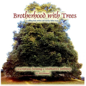 CD - Brotherhood With Trees