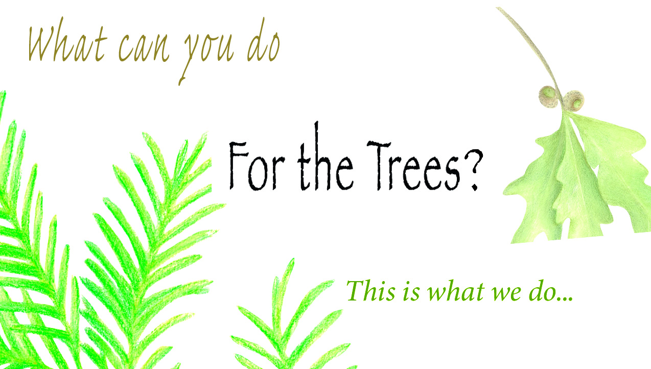 For The Trees