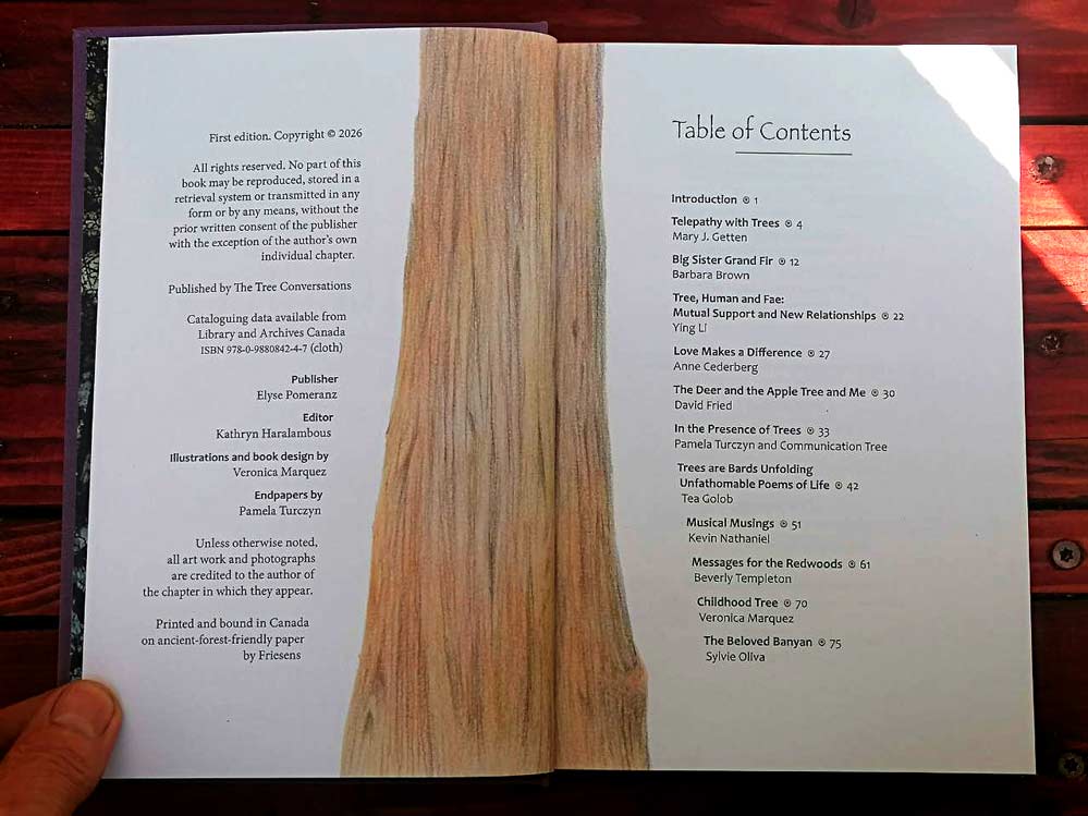 For the Trees - Image 3