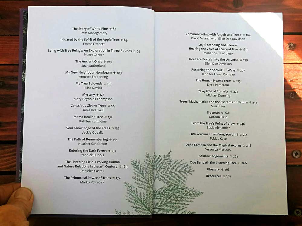 For the Trees - Image 4