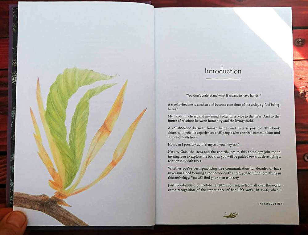 For the Trees - Image 5